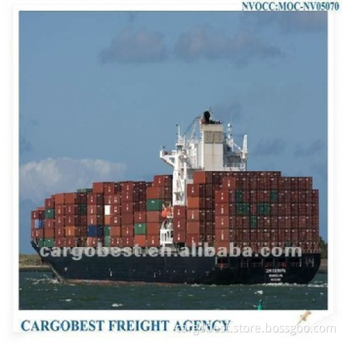 cargo shipping service from qingdao to Boma